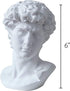 Greek Statue of David Head Bust, Mythology and Roman Home Decor