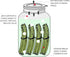 Sophico Silicone Fermenting Lids - Waterless Airlock Mason Jar Lid Caps for Pickles, Kimchi, 4 Pack, Wide Mouth