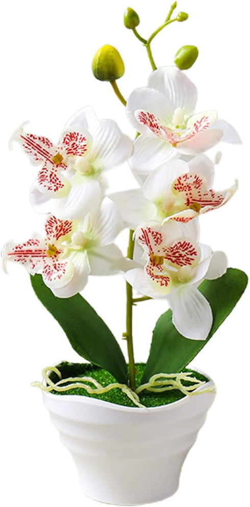 Artificial Phalaenopsis Flower Pot, Bonsai Ornament for Home Landscape Decor, White Flower for Beautiful Vitality