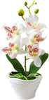 Artificial Phalaenopsis Flower Pot, Bonsai Ornament for Home Landscape Decor, White Flower for Beautiful Vitality