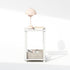 2-Tier Closet, Furinno Simplistic Night Stand, Small Nightstand with Open Shelf, Toolless Assembly Bedside Table, End