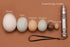Powerful Professional LED Light Egg Candler Incubator Stainless Steel Tester for All Egg Type, Ultra Bright, Powered