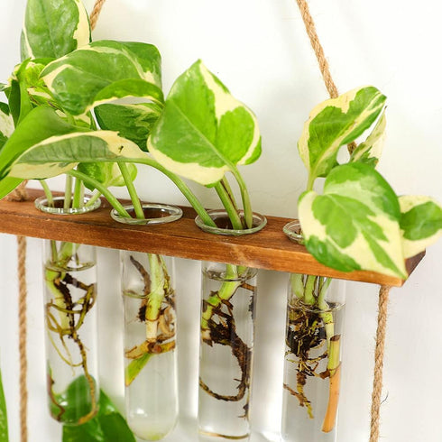 ORANGE NEI 2 Hiuxume Tiered Wall Hanging Planter, Wooden Stand with Glass Planter Test Tube Vase for Hydroponic Plant