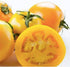 Golden Jubilee Tomato Seeds - Large Tomato - One of the Most Delicious Tomatoes for Home Growing, Non GMO