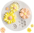 Sunflower Silicone Cookie Biscuit Baking Molds, Decorating Craft Mold