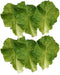 Nice purchase 6pcs Simulation Green Lettuce Leaves PVC Material Fake Vegetable Model Kitchen Artificial