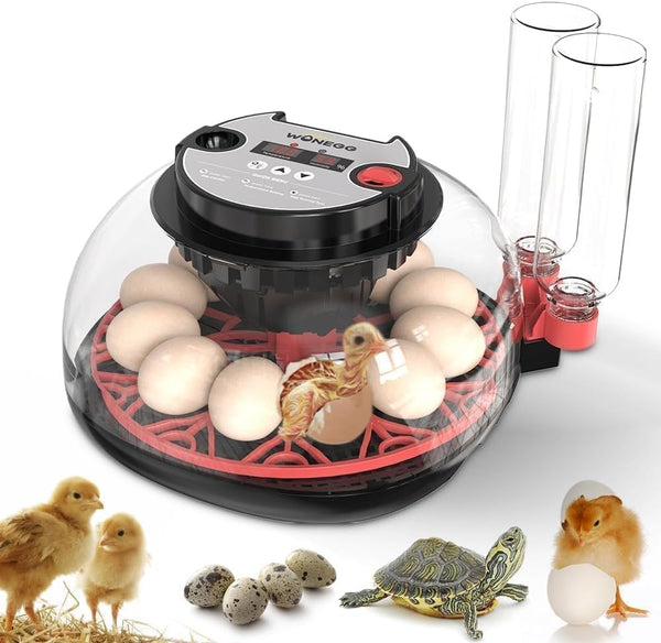 ShellBr8ker Nest II - 12 Egg Incubator for Beginners, Multi-Level Adaptive Humidity (Auto-Refill