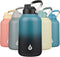 BJPKPK 1 Gallon Insulated Water Bottle, Dishwasher Safe 128oz Large Jug with Metal Handle & BPA Free Spout Lid, Blue