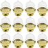 TIHOOD 12PCS Mini Cupcake Stand, Tiny Cake Dome with Clear Plastic for Chocolate, Cheese, and Candies