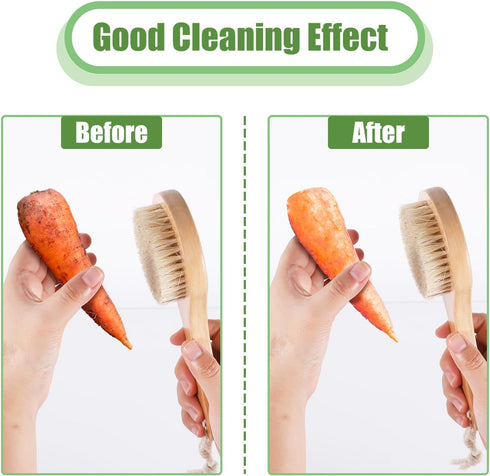 PEUTIER 7.87x3.15 Inch Vegetable Brush, Wood Potato Scrubber with Long Ergonomic Handle Fruit Scrub Brush Carrot Brush