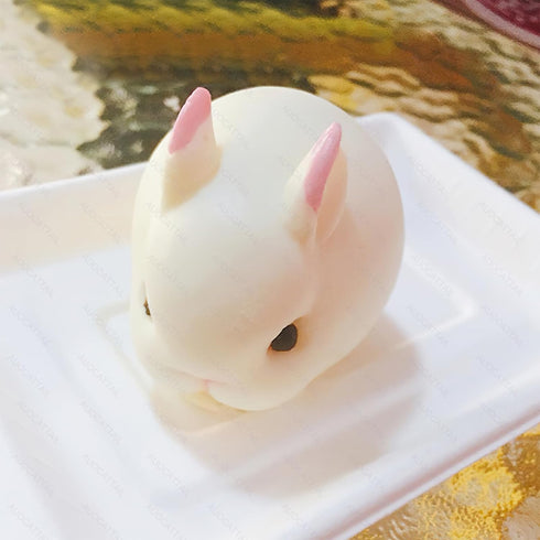 AUOCATTAIL 6 Cavity Easter Rabbit 3D Silicone Molds for DIY Mousse Cake, Pudding, and Chocolate