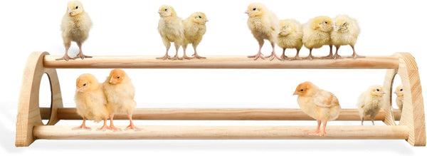 TonGass 16" Extra Long Chicken Perch - Freestanding Roosting Bar for Baby