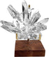 Adjustable Brass Crystal Display Stand with Walnut Base Mineral Specimens Display Stand Rock Display Easel Metal Display Holder for Stones Geodes Fossils Spheres Agate Slices L/Tripod