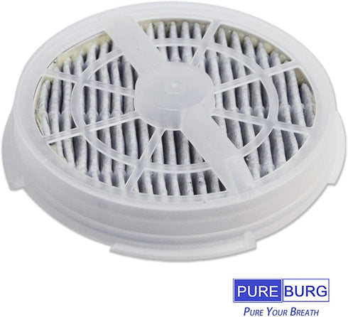 PUREBURG GL-2103 Replacement Filter - Compatible with RIGOGLIOSO JINPUS MELEDEN Air Purifiers, 2-Pack HEPA Activated