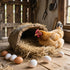 Azatemgo 6 Set Pcs Wooden Eggs Fake Chicken White Eggs of Wooden Fake Eggs to Help Lay Chickens