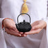 Ipetboom Mini Cast Iron Teapot Tea Set, Miniature Japanese Tea Kettle with Infuser, Kettle Ornaments, Small Teapot