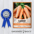 2 Gardeners Basics Carrot Seeds for Planting - Scarlet Nantes - is A Great Heirloom, Non-GMO Vegetable Variety, Grams
