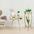 Stands2 27.1 inch Kavlium Plant Stand Indoor OutdoorTall Gold Metal Rustproof Stable Plant Tier Multiple Plant Rack