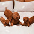 KOWAKA (27.5inches) Dachshund Dog Plush Hug Pillow Soft Durable Stuffed Throw Cushion Dachshund Animals Hug Pillow