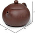 Teapot 270ml Clay Xishi Pots, China Gongfu Tea Infuser for Loose Tea, Blooming
