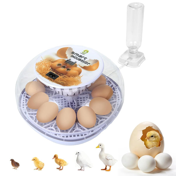 GleeGearNex Gen I - 12 Egg Automatic Incubator, Steady Humidity with Auto-Refill, Stable