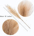 UiiziC Faux Pampas Grass Dried Fluffy 6pcs, 35" Ascendant Grass for Wedding Bouquets, Home Decor (Brown)