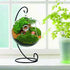 Ornament Display Stand, Air Plant Holder, Black Iron Wire Hanging Hook for Home Party Decor