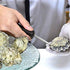 Dhieong 8 Pack Oyster Knife Oyster Shucking Knives - Food Grade Stainless Shucker Oyster Shuckers with Non Slip Handle