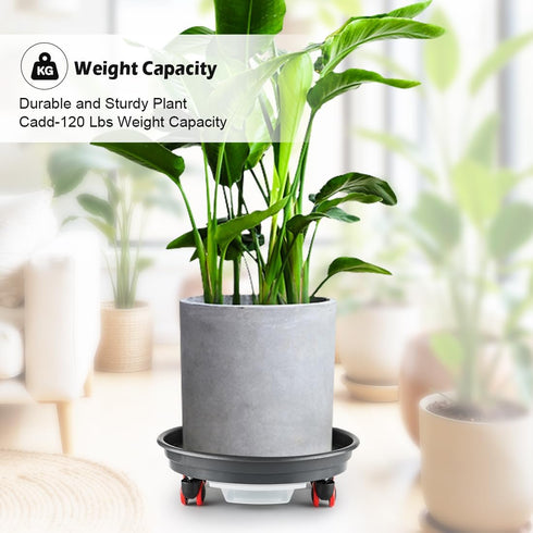 RooTrimmer 13 Inch (2 Pack) Plant Stand Rolling Tray Plant Caddy with Wheels and Removable Drainage Holes and Drip Tray