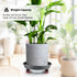 RooTrimmer 13 Inch (2 Pack) Plant Stand Rolling Tray Plant Caddy with Wheels and Removable Drainage Holes and Drip Tray