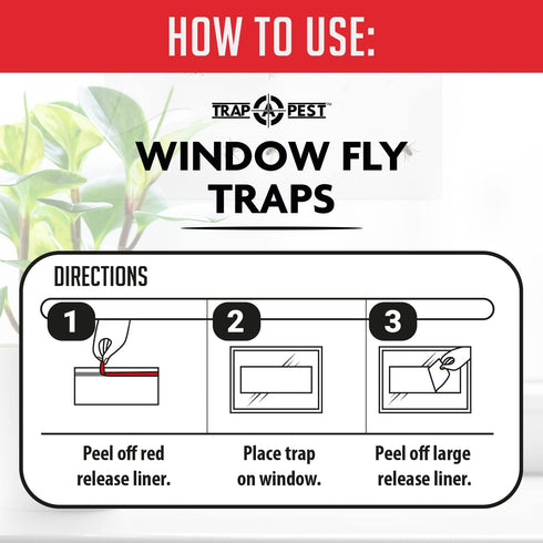 Window Fly Traps Indoor Clear (30 Pack) - Non-Toxic Sticky Fly Strips for Windows, Indoor Bug Sticky Traps