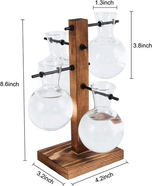 4 Bulb PAG Planter Terrariums Kit Desktop Hydroponics Air Plant Holder with Beaker Glass Vase and Solid Wood Stand