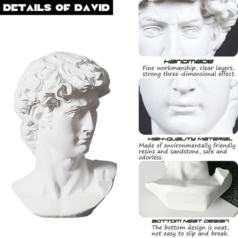 6 Inch fazhongfa Greek Statue of David Bust Resin Sculpture for Roman Bookshelf Tabletop Office Home Decor Roman