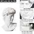 6 Inch fazhongfa Greek Statue of David Bust Resin Sculpture for Roman Bookshelf Tabletop Office Home Decor Roman
