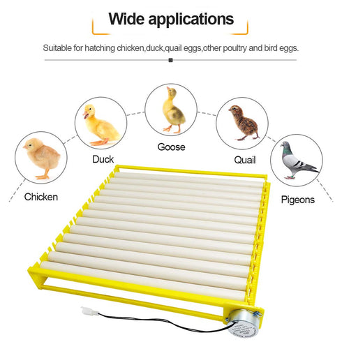 Huatuo Chickens/Ducks/Birds/Poultry13 HBtree Automatic Multifunction Incubator Egg Tray Turning Hatcher for Tubes