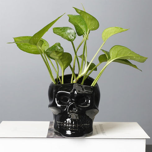 Vitbunana Skull-Shaped Toothbrush Holder, Skull Ceramic Small Storage Tube, Skull Pen Holder, Skull Succulent Flower