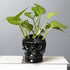 Vitbunana Skull-Shaped Toothbrush Holder, Skull Ceramic Small Storage Tube, Skull Pen Holder, Skull Succulent Flower
