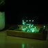 2 Pack 33ft 100 USB Plug-in Fairy Lights, Mini LED String Lights with Black Green Wire for Bedroom Wedding St.