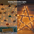 ODEETRONIC Warm Christmas Lights - 21.63ft 100 Count Steady & Blink Clear Lights for Indoor Outdoor Party