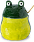 dgudgu Frog Salt Cellar With Lid And Spoon Ceramic Salt Container Green Salt
