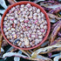 20 Tongue of Fire Bean Seeds - Large Seeds - Bush Bean
