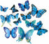 12PCS PVC 3D Butterfly Fridge Magnets - Wall Stickers with Magnet for Home Party Decoration (Blue)