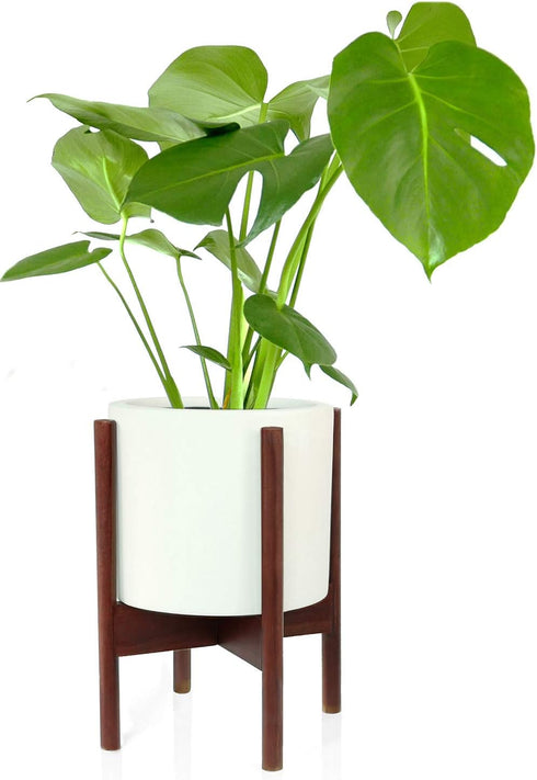 8 Inch Fox & Fern Mid Century Plant Stand Fixed Size Wooden Plant Stand for Indoor Planters (Not Included) - Raised