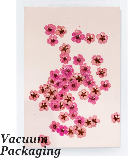 Dried Pressed Flowers for Resin, 60PCS Pink Real Pressed Dried Plum Blossom Flower for Scrapbooking DIY Crafts