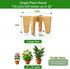 12") Plant Stands Indoor Outdoor, Plant Risers for Inside Pots Sturdy Short Plants Holder, Flower Pot Stand for Indoor