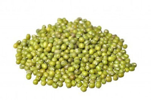 5 Todd's Seeds Sprouting Seeds Mung Bean, Chinese Bean Sprouts, Pounds