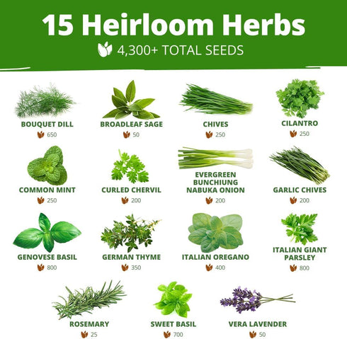 70 32,000+ Set HOME GROWN Variety Vegetable & Herb Seeds USA Non-GMO Heirloom Survival Seeds Garden Kit for Spring