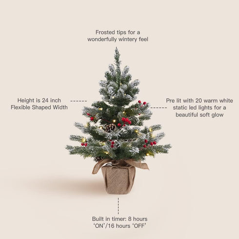 24 Inch 2 FT Pre-lit Snowy Mini Christmas Tree, DECSPAS Small Tabletop Flocked Tree with 20 LED Lights for Holiday Party