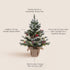 24 Inch 2 FT Pre-lit Snowy Mini Christmas Tree, DECSPAS Small Tabletop Flocked Tree with 20 LED Lights for Holiday Party