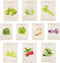 Home Botanicals | Cold Weather Seed Variety Pack - Brussel Sprouts, Cauliflower, Celery, Kale,